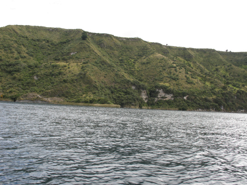 Description of the image