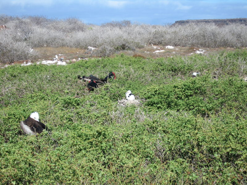 Description of the image