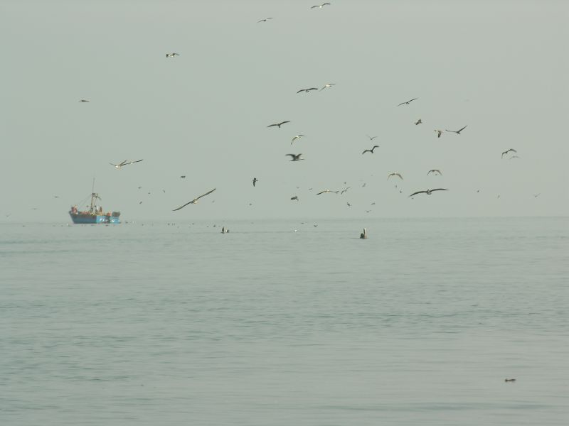 Description of the image