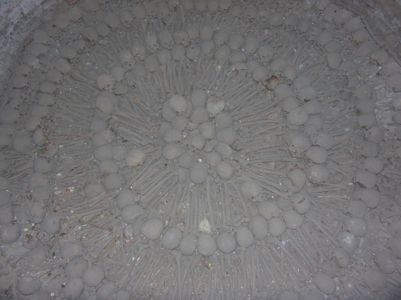 Description of the image