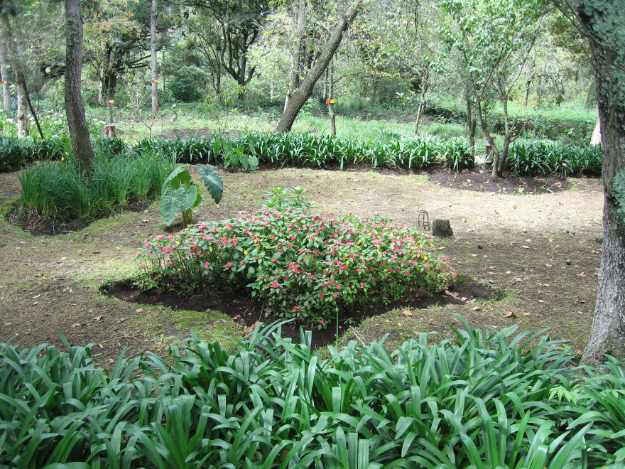 Description of the image