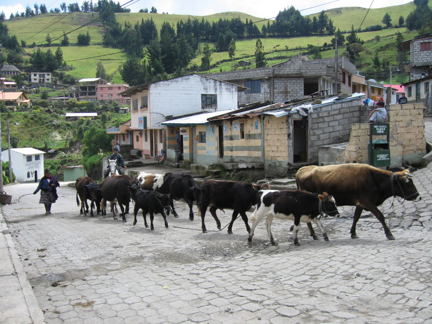 Description of the image