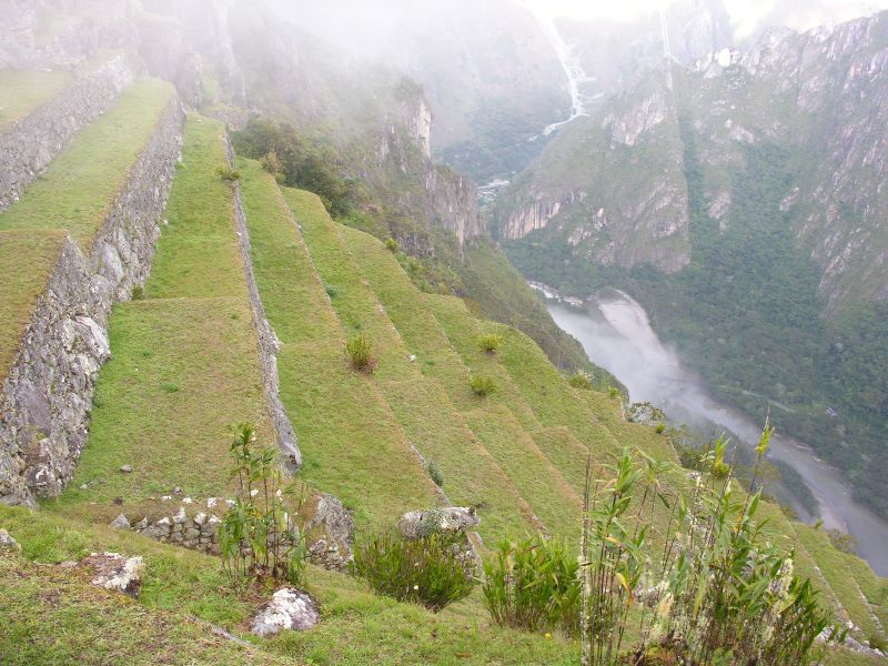 Description of the image