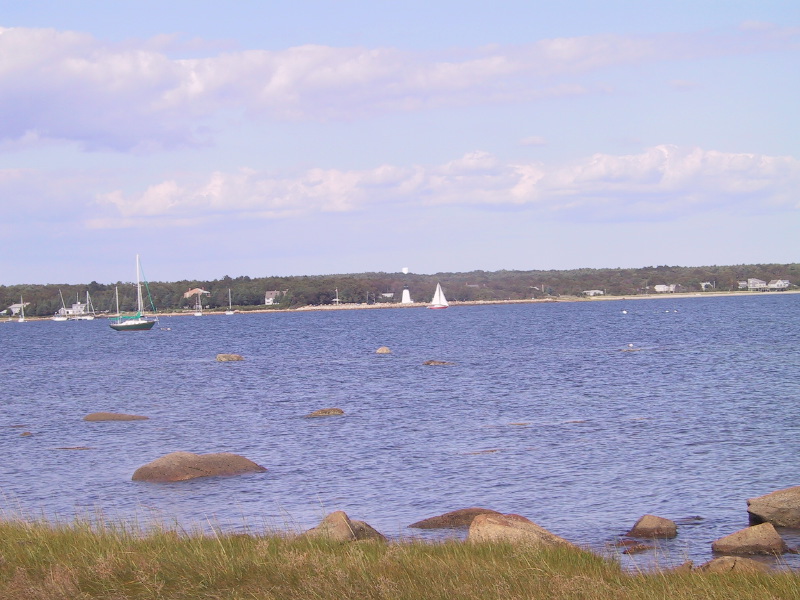 Description of the image