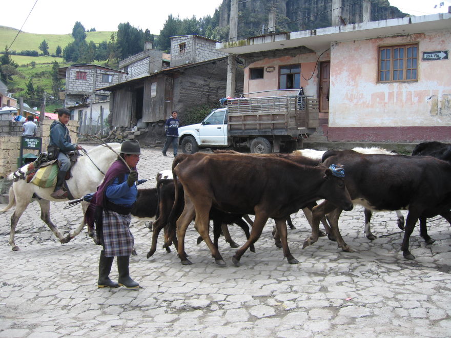 Description of the image