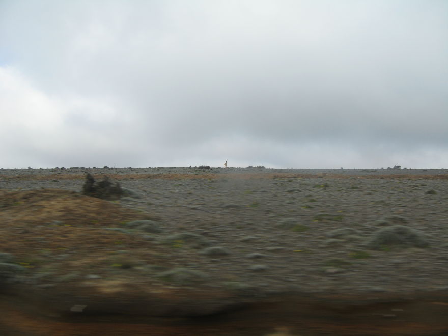 Description of the image
