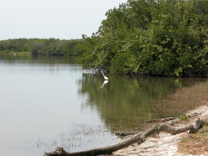 Description of the image