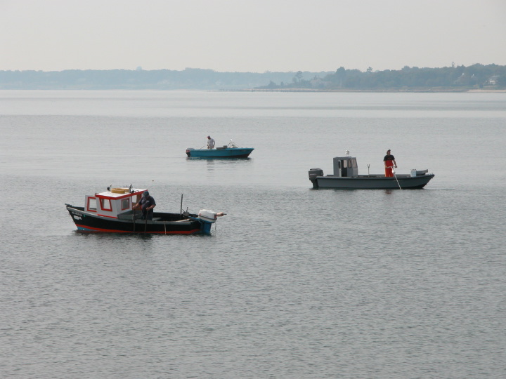 Description of the image