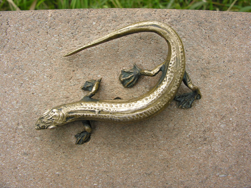 Description of the image