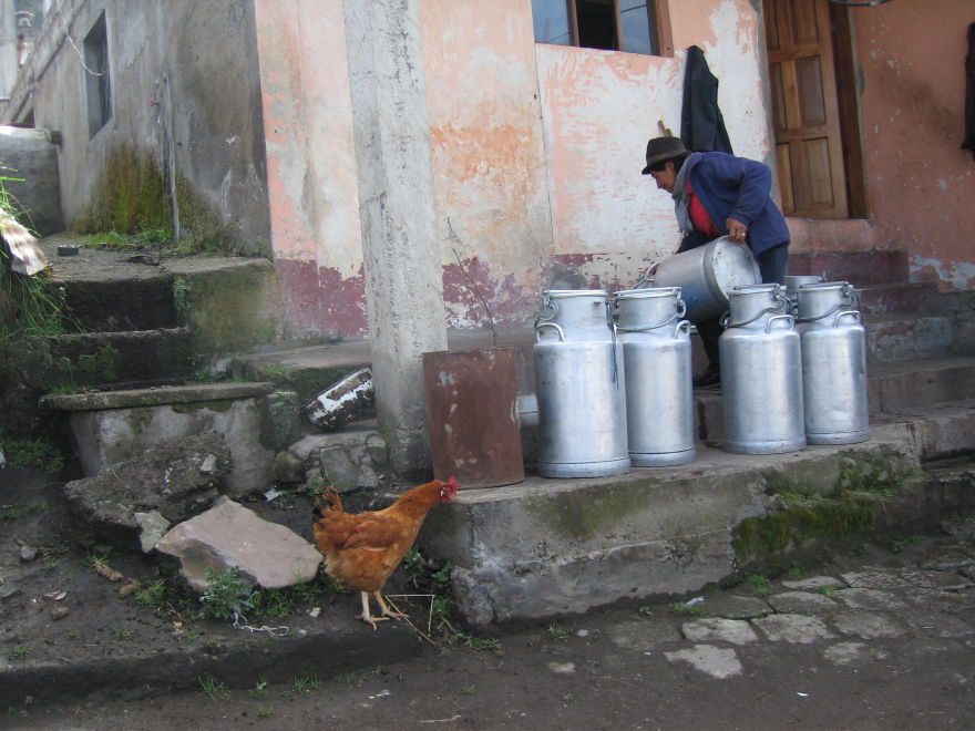 Description of the image
