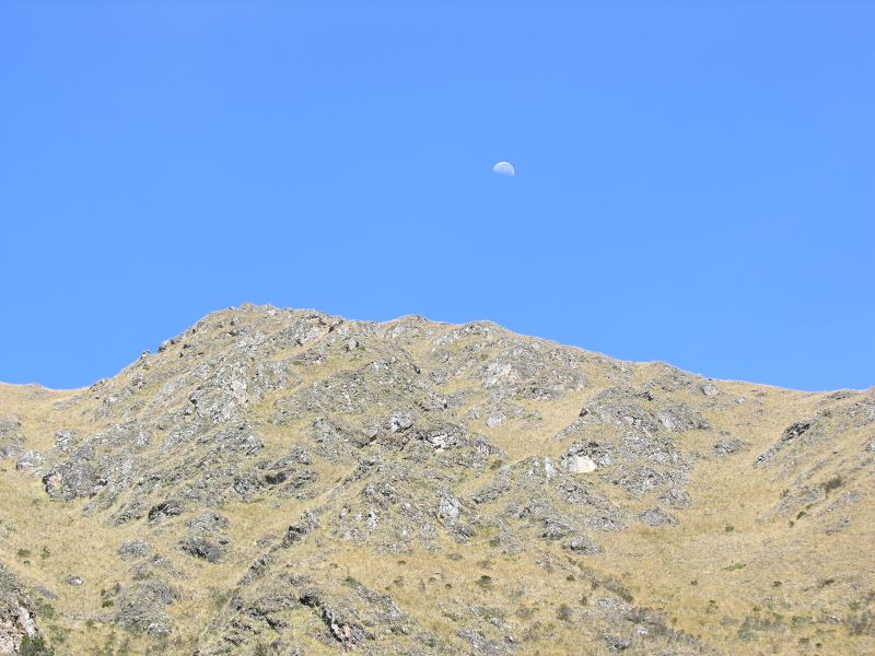 Description of the image