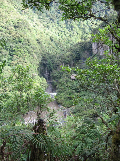Description of the image