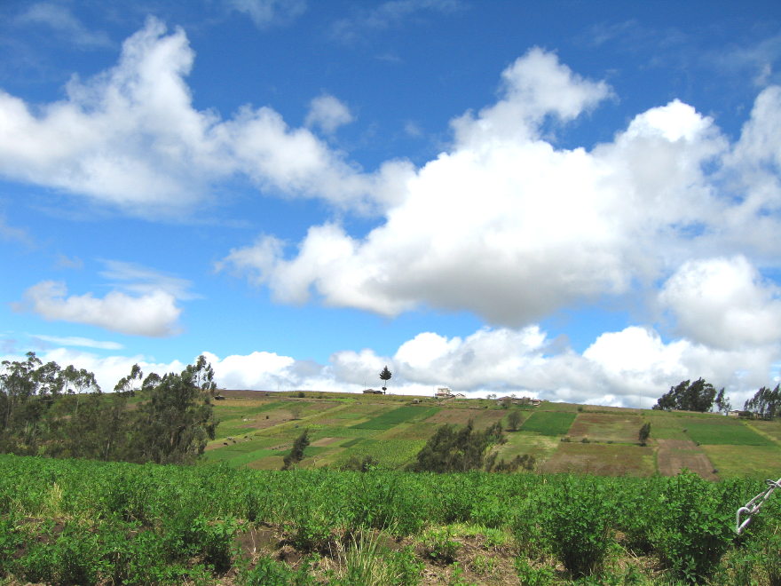Description of the image