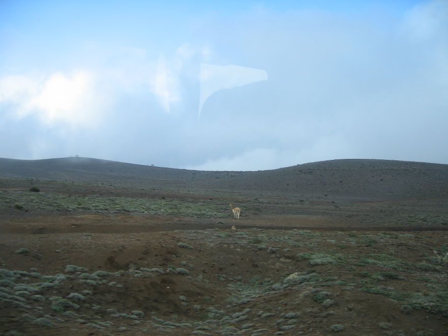 Description of the image