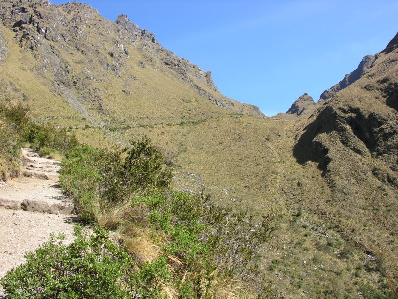 Description of the image