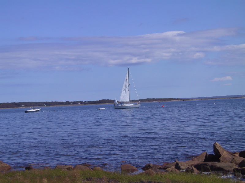 Description of the image