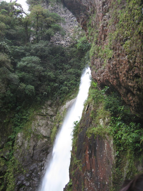 Description of the image