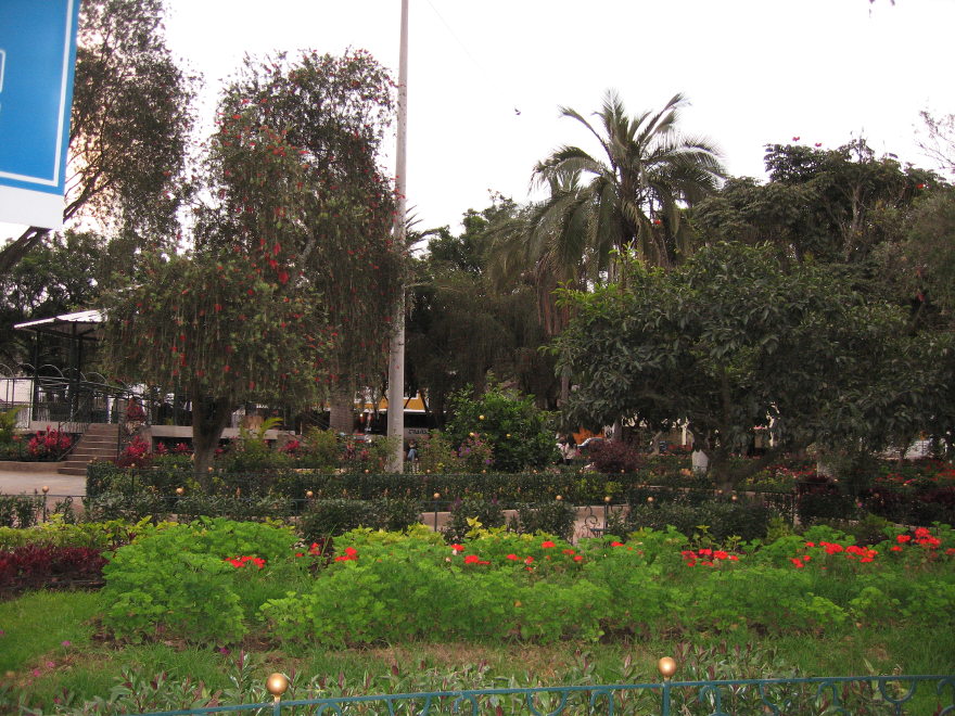 Description of the image