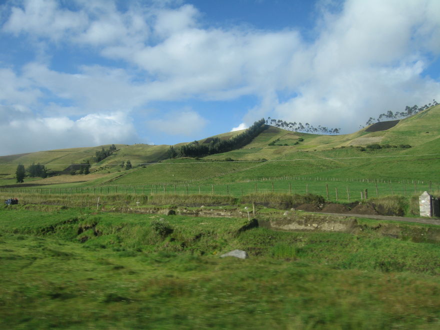 Description of the image