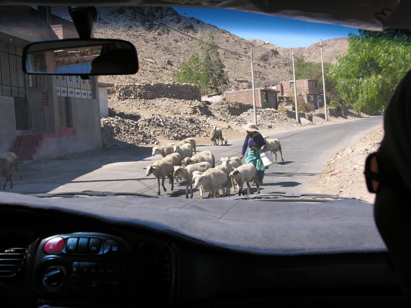 Description of the image