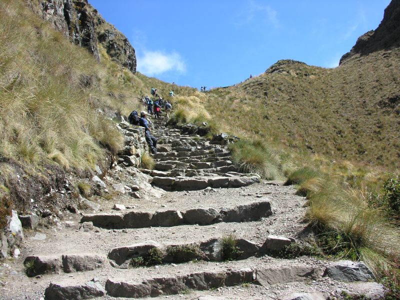 Description of the image