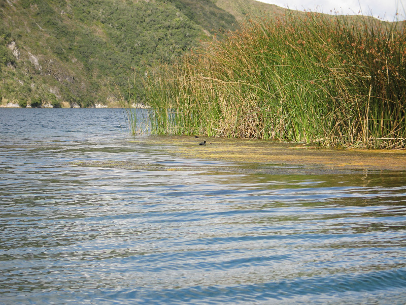 Description of the image