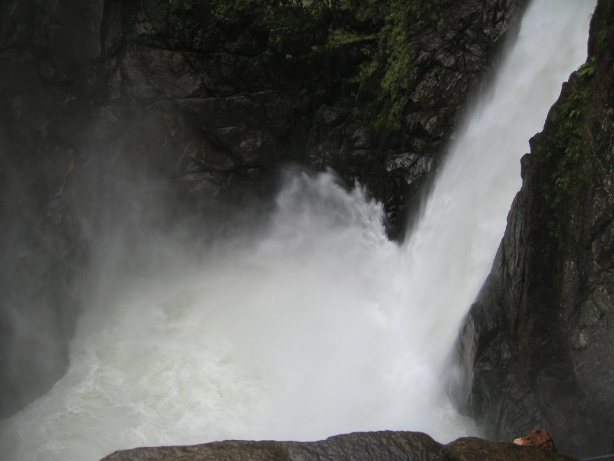 Description of the image