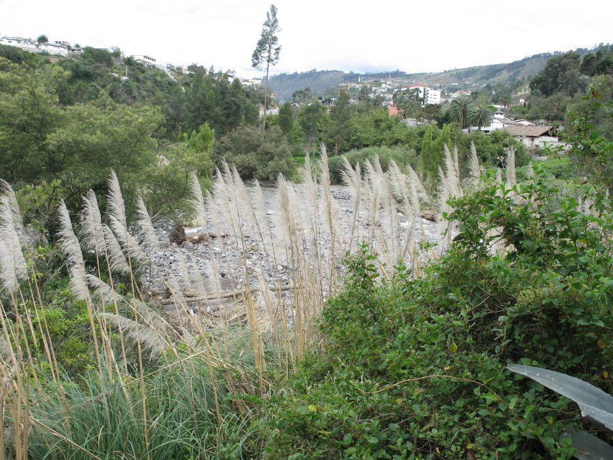 Description of the image