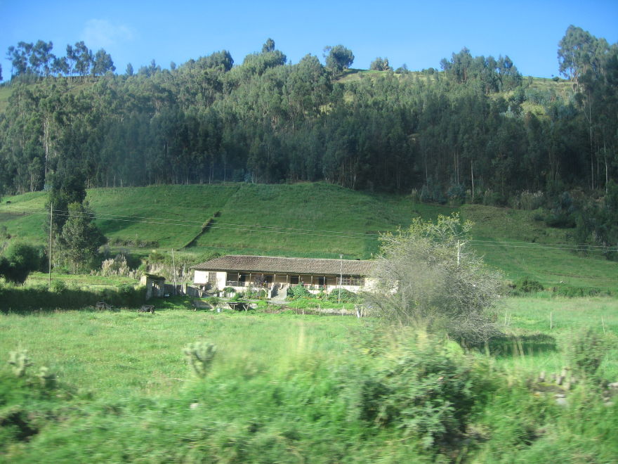 Description of the image