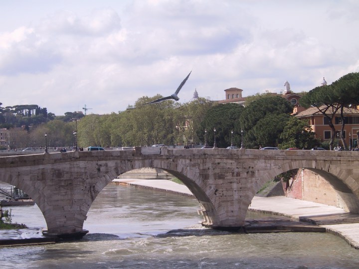 Description of the image