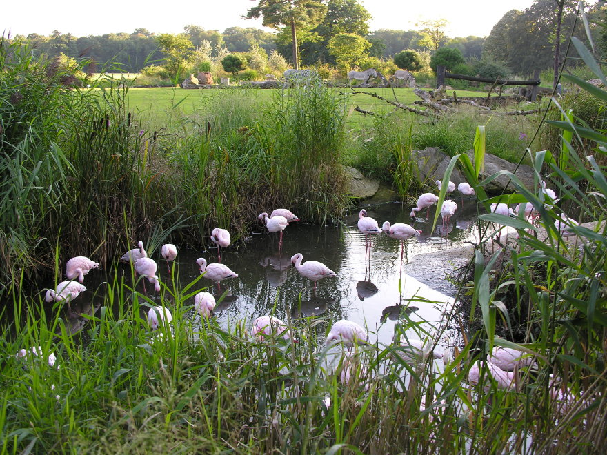 Description of the image