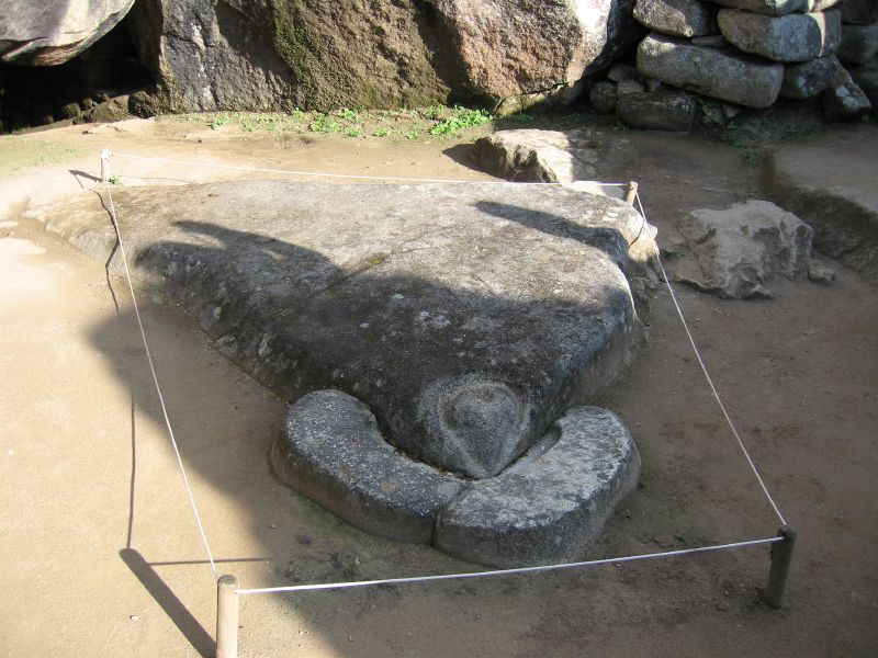 Description of the image