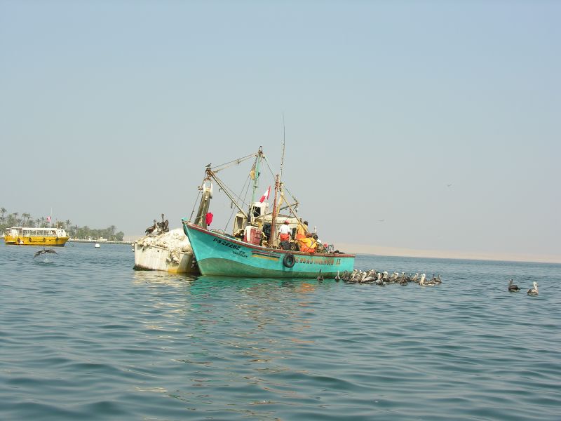 Description of the image