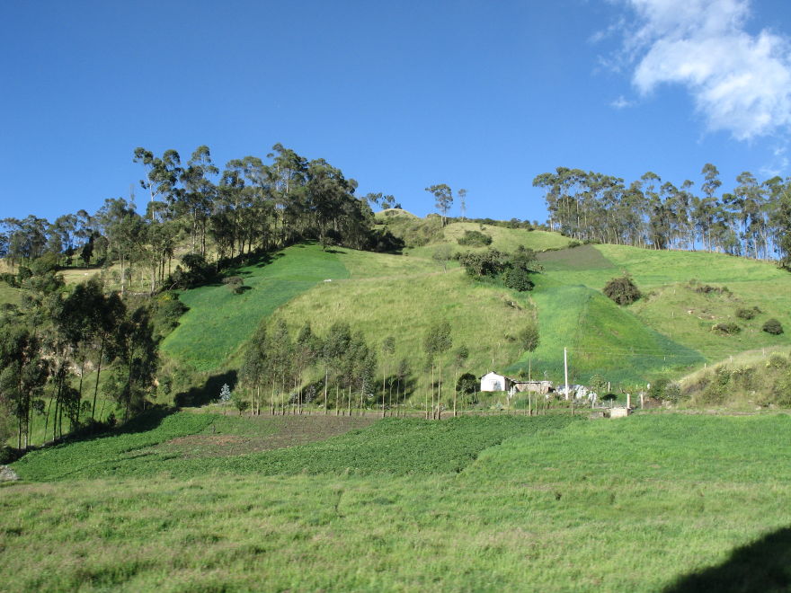 Description of the image