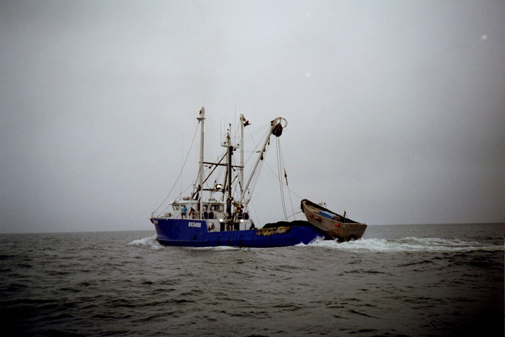 Description of the image