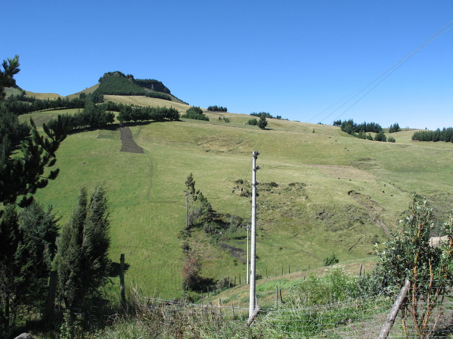 Description of the image