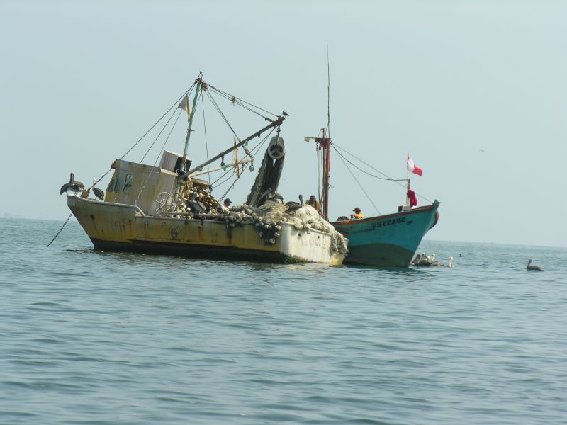 Description of the image