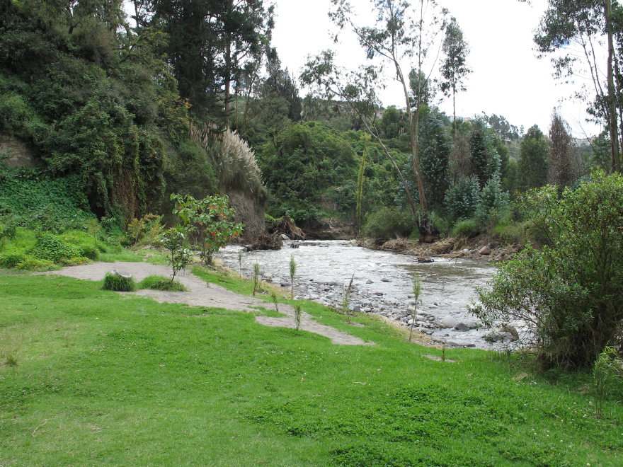 Description of the image