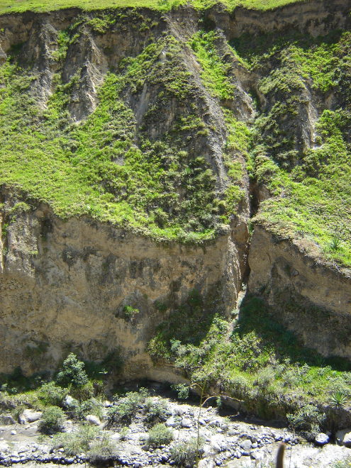 Description of the image