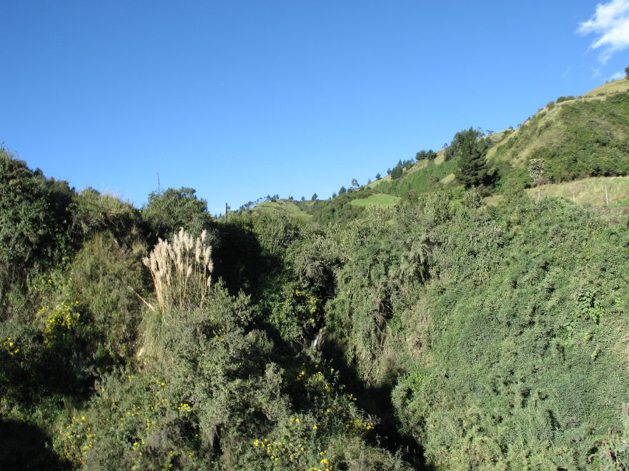 Description of the image