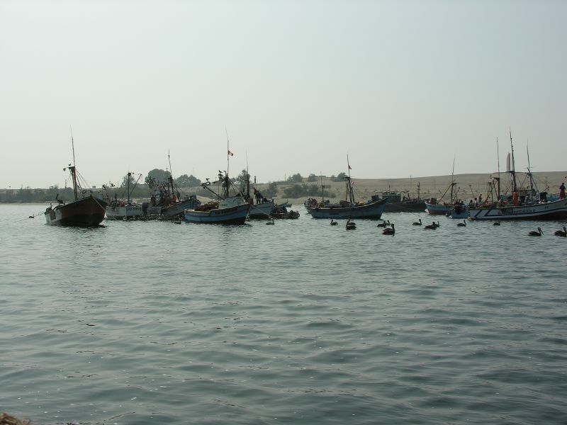 Description of the image