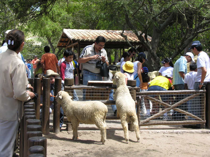 Description of the image