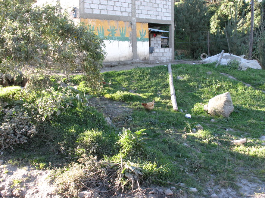 Description of the image
