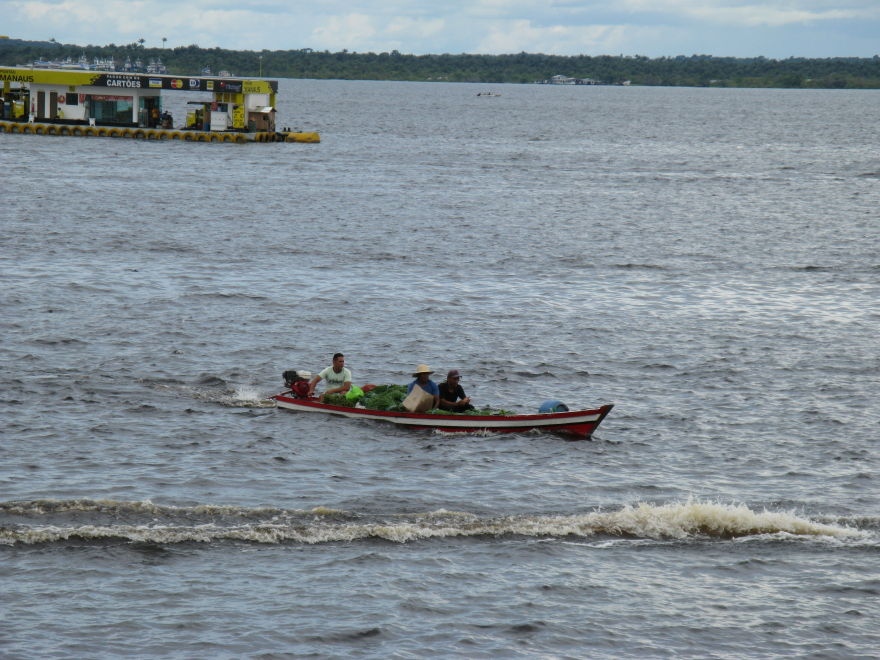 Description of the image