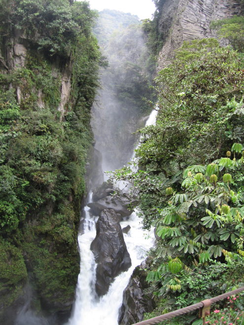 Description of the image