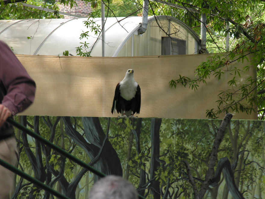 Description of the image