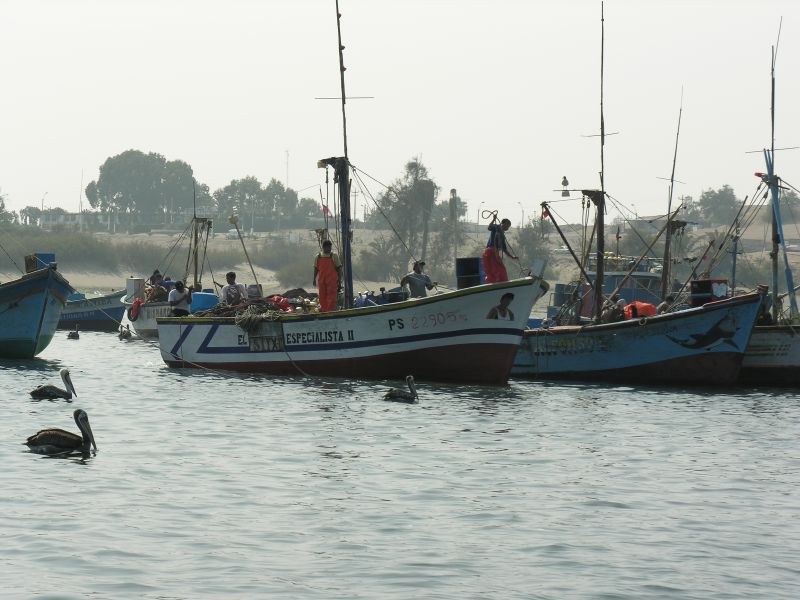 Description of the image