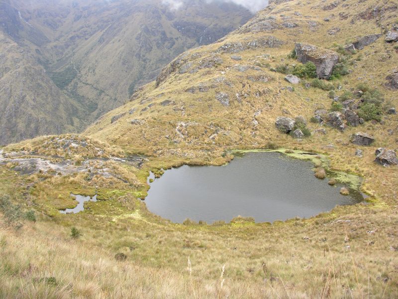 Description of the image