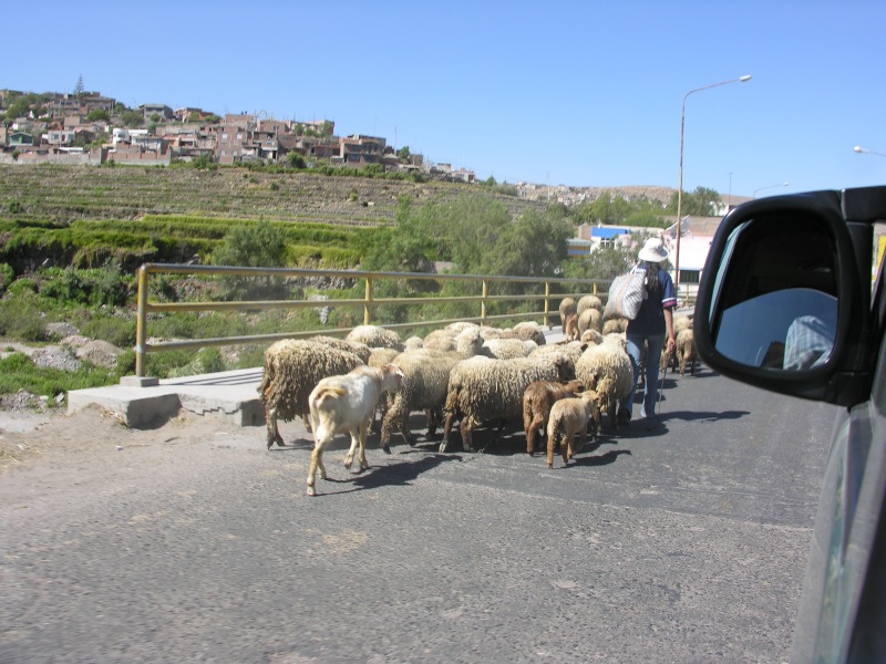 Description of the image