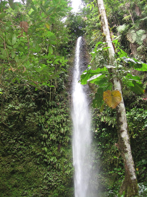 Description of the image